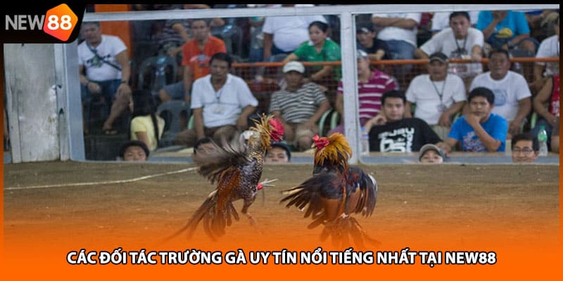 Các đối tác trường gà uy tín nổi tiếng nhất tại NEW88